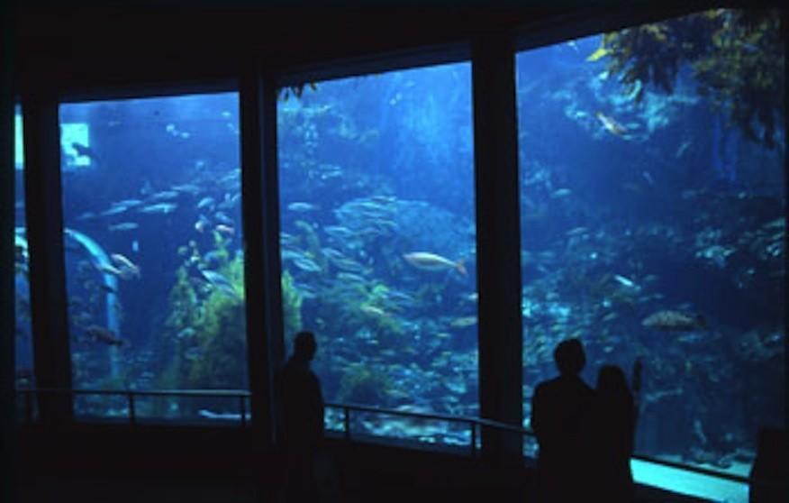Patagonia Home Shimoda  Exterior foto